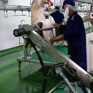 Nouvelle machine <span class=keywords><strong>à</strong></span> peler la peau de chèvre clé en main, dépecatrice motorisée pour peaux de mouton, équipement d'abattoir en acier inoxydable, Halal pour moutons et agneaux - Product Image 5