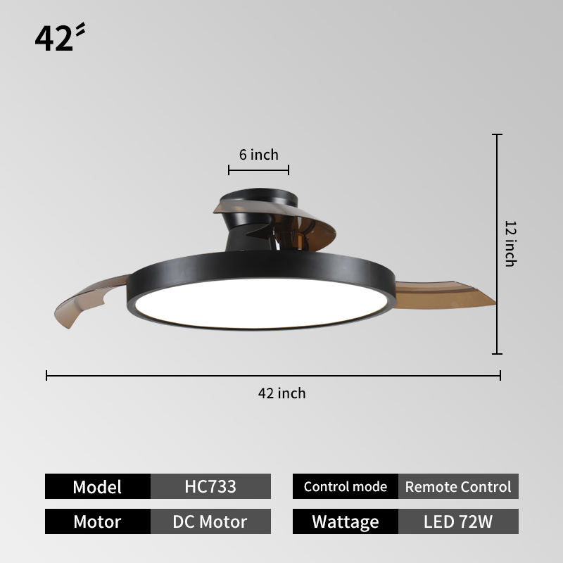 เพดานสีดำ + 42