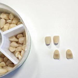 Dents synthétiques <span class=keywords><strong>en</strong></span> résine acrylique de haute qualité à deux couches pour prothèses dentaires - Product Image 5