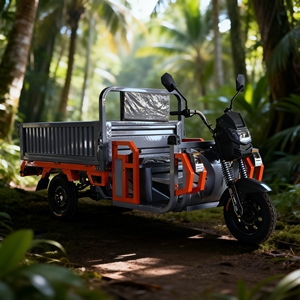 Tricycles à prix d'usine, capacité de charge de 700 kg, peinture 3C3B pour revendeurs - Product Image 1