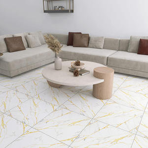 Azulejos de Cerámica para Piso de Alta Calidad, 600x600mm, Acabado Mate, Gama Económica - Product Image 2