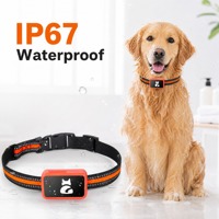 Collier GPS 4G pour animaux de compagnie sans frais d'abonnement, IP67, en nylon réfléchissant, pour chiens et chats, faible MOQ, prêt à être expédié DDP