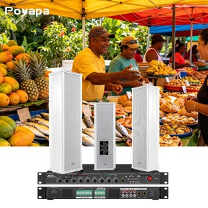 Système de sonorisation alimenté pour l'extérieur, enceinte colonne étanche, amplificateur Bluetooth multi-zones BGM - Product Image 1