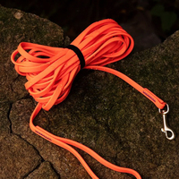 Laisse extérieure anti-casse pour chien, 1 cm, en cuir épaissi, motif réfléchissant, corde d'entraînement pour Labrador et grands chiens, chaîne en P
