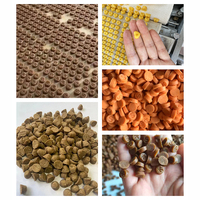 Machine extrudeuse de nourriture pour chiens commerciale 100 kg/h 3 kW entièrement automatique pour la fabrication d'aliments pour animaux de compagnie