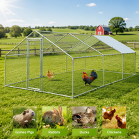 Petite cage métallique pour animaux de compagnie, poulailler en grillage, enclos extérieur pour volailles, jardin, cour arrière avec toit.