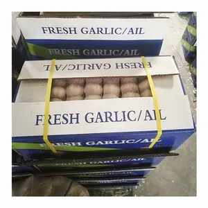 Aglio fresco normale aglio bianco di alta qualità nuovo raccolto in scatola 10kg per il commercio all'ingrosso aglio fresco