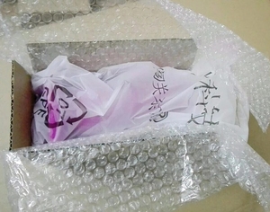 FAAK 21cm Silicone Juguetes Sexuales Dog Animal Penis Wolf <b>Dildo</b> for Female - Product Image 6