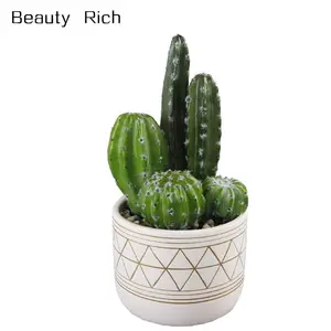 9 Inches Tall Faux Cactus Garden in 5 Inches Hand-Painted Geometric Planter Ceramic Pot Planter Mid Century