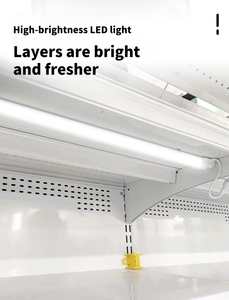 Refrigerador <span class=keywords><strong>vertical</strong></span> multifuncional para bebidas, <span class=keywords><strong>congelador</strong></span> criogénico para helados, superventas - Product Image 6