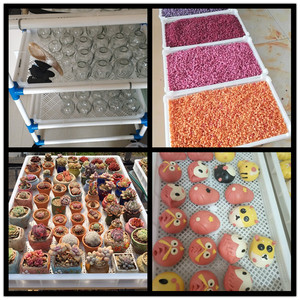 Nhà Máy Cung Cấp Vật Liệu Cấp Thực Phẩm Stackable Nhựa Freezing Khay Nhựa Khô Khay Cho Paintball Và Capsule - Product Image 3