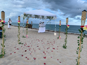 Lots de pétales de roses artificielles en soie, 1000 pièces, fausses pétales pour filles, pour mariage, pour centres de Table, confettis, cadeaux de fête - Product Image 6