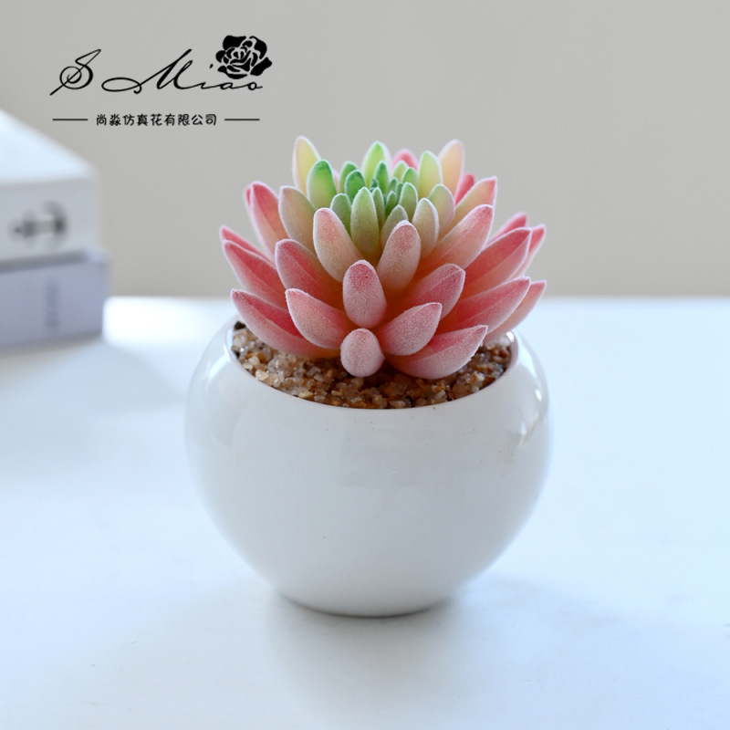 SKU_16
