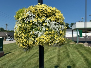 Excellent Quality Blue PP <b>Plastic</b> <b>Planter</b> For Lamp Pole Greenery Decoration <b>Planter</b> Self Watering Eco-Friendly Hanging <b>Planter</b> - Product Image 3