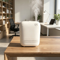 Diffuseur d'arômes double alimentation AE109 150 ml mural à batterie, nébuliseur à air froid pour chambres d'hôtel et usines