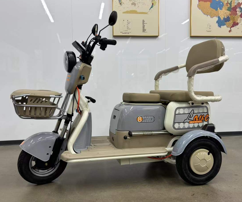 600W 800W Electric Tricycle with 3