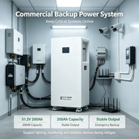 Batterie solaire 5,12 kWh pour alimentation de secours, batterie LiFePO4 51,2 V 100 Ah pour système solaire domestique et utilisation avec onduleur