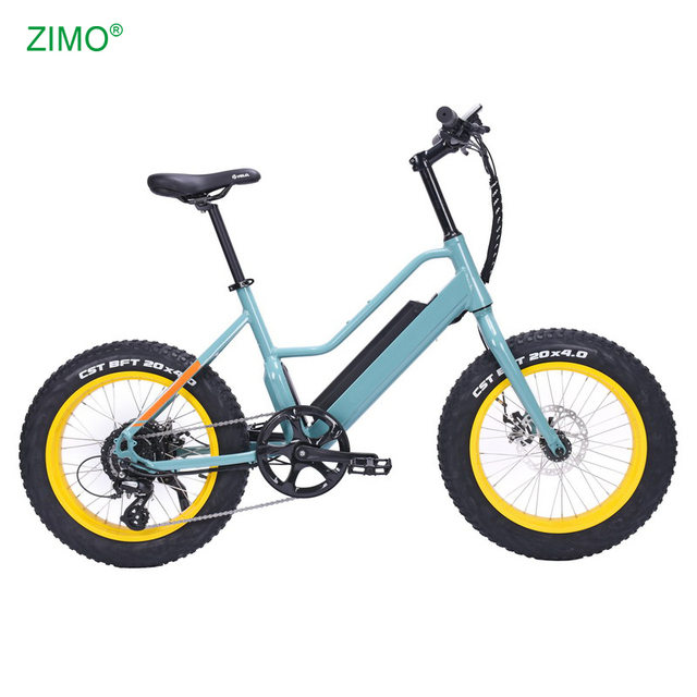 2026 European Popular 48V 750W Electric Bicycle for Sale, Hot Sale Pedal Assist Electric Bike for Adult