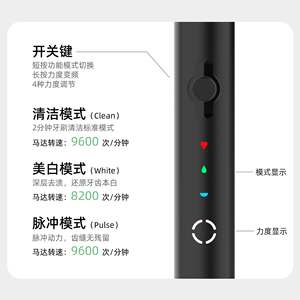 Brosse à dents électrique transfrontalière rechargeable USB-C à poils souples, étanche IPX7, avec 2 têtes de brosse et étui - Product Image 2
