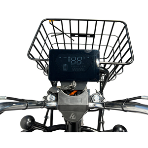 Vélo électrique de livraison classique 300 kg pour adultes, directement de l'usine de Wuxi, <span class=keywords><strong>prix</strong></span> abordable, batterie au lithium - Product Image 3