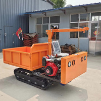 Mini-dumper chenillé 1,5T + Grue 1T – Transport tout-terrain et chargeur – Engin de terrassement