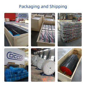 Endüstriyel ABD ANSl Yönetici Tipi Ağır Hizmet Standart Ana Bant Temizleyici Konveyör, Çamur ve Toz Taşıma Ekipmanları için - Product Image 4