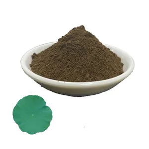 Rongsheng fonte de alta qualidade natural folha de lótus flor 98% extrato nuciferino