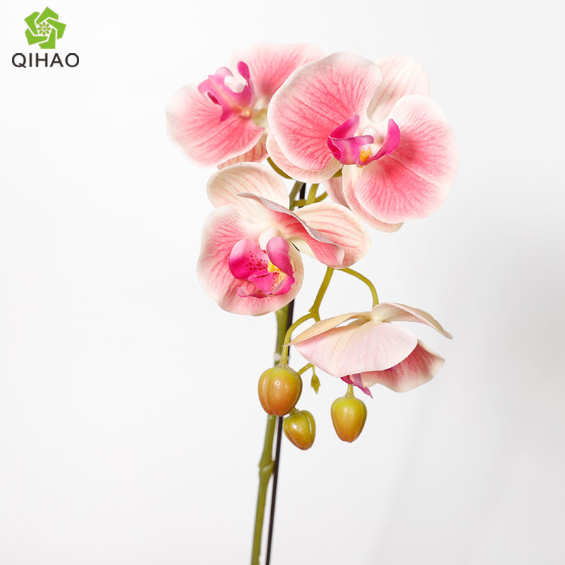 สีชมพูเข้ม