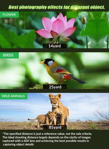 Téléobjectif pour la photographie mobile, ultra HD, qualité professionnelle, zoom 60x pour appareil photo mobile - Product Image 4