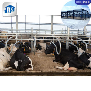 Diseño de Casa de vaca de estructura de acero, cobertizo de granja de Casa de granja de vaca, taller de estructura de acero - Product Image 5