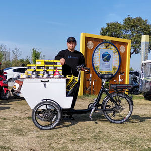 Vélo cargo électrique à 3 roues pour adultes, à chargement frontal, tricycle électrique mobile, vélo <span class=keywords><strong>hollandais</strong></span> avec boîte en métal - Product Image 5