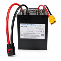 Paket Baterai Lithium 13S 14S 52V 24Ah 180A Isi Ulang dengan Casing Logam untuk E-bike/Skuter Dilengkapi Bluetooth BMS Terintegrasi