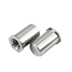 Tuerca de inserción a presión de acero inoxidable M2 M2.5 M3 M4 M5 M6 con rosca métrica para la industria de la construcción - Product Image 1
