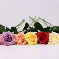 Vente en gros de roses simples pour la Saint-Valentin, roses réelles au toucher, tige longue de 15 cm, rose préservée pour une utilisation en intérieur, mariage