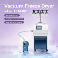 Fabricante de Liofilizadores, Venta de la Serie ZLGJ-12, Soporte en Forma de C para Botellas, Velocidad de Bombeo de 2L/S, Liofilizador al Vacío