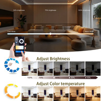 Zigbee 3.0 Tuya CCT Dimmable Power Supply DC24V 200W 300W 2Wire 3Wire COB LED Strip Light Transformer LED Driver Untuk Alexa Google