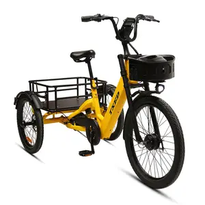 TXED New Design 3 Wheel Motor Bike 250W Electric Hybrid Bicycle Aluminum Alloy Electric Sharing Cargo Bike