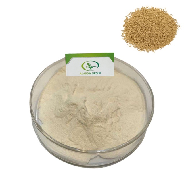 OEM Organic Pure Powder Yeast Extract Powder Beta Yeast Glucan