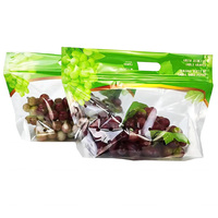 Op maat bedrukte plastic fruitzakken met ritssluiting, op maat bedrukte ziplock zakken, plastic fruitverpakkingszakken met ritssluiting