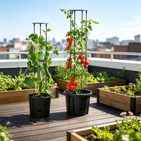Supports de plantes grimpantes auto-arrosants, anneaux de support de jardin, jardinière avec treillis, tour de culture pour tomates