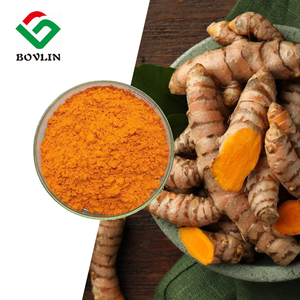 Bubuk Kurkumin Liposomal Kemurnian Tinggi 10% 70% Kurkumin Liposom Ekstrak Kunyit Organik Bubuk - Product Image 3