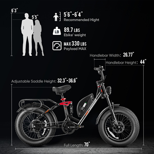 Vélo certifié Eahora EN15194, moteur sans balais 750W, batterie 48V 15Ah, cadre en acier, vélo électrique de ville avec porte-bagages arrière, éclairage LED - Product Image 6