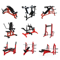 Équipement de musculation de haute qualité, ensemble complet d'appareils de fitness commerciaux, prix de gros directement de l'usine chinoise