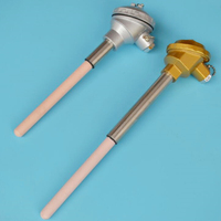Haichen Ceramic Sheathed K Type High Temperature Thermocouple for Electric Furnace