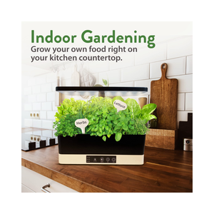 Menthe de haute qualité et sans OGM Cultivez vos propres plantes de menthe <span class=keywords><strong>en</strong></span> direct Grand cadeau pour les jardins, les chefs et les amateurs de thé - Product Image 1