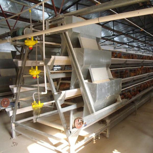 กรงเลี้ยงไก่<span class=keywords><strong>ไข่</strong></span>แบบให้อาหารอัตโนมัติ 3/4 ชั้น ชุบสังกะสีแบบร้อน รุ่น A Type 96/120/128/160 สำหรับใช้ในบ้าน - Product Image 4