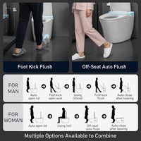 Ensemble de toilettes intelligentes électriques ADA entièrement automatiques, avec bidet intégré, à poser au sol, en céramique, à chasse d'eau automatique