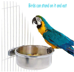 Copos de alimentação de papagaio, aves, prato de comida, aço inoxidável, alimentadores, gaiola de água, com braçadeira, suporte para baratas - Product Image 3