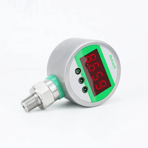 Fabricant de jauges : jauges à eau électroniques numériques intelligentes, jauges à vide haute précision - Product Image 5