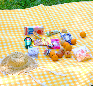 Colchoneta de Camping Impermeable de Alta Calidad, Fabricada en PVC Oxford, Portátil y Ligera, para Dormir al Aire Libre, Senderismo, Escalada, Picnic y Playa - Product Image 2